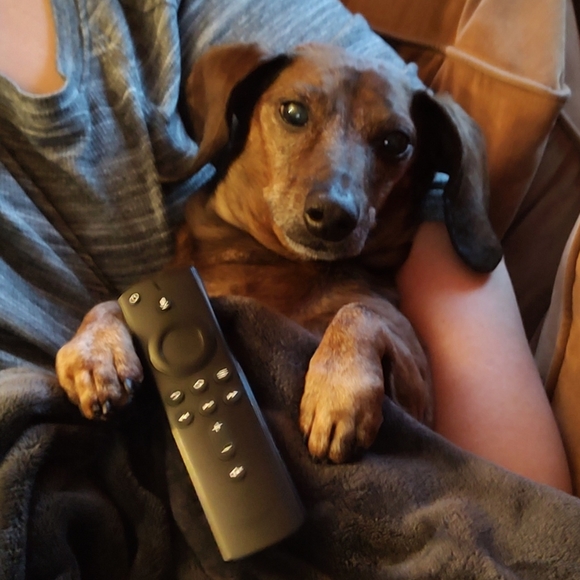 Curvy Bat Signal!  LIVE SHOW LISTING - Picture 2 of 2